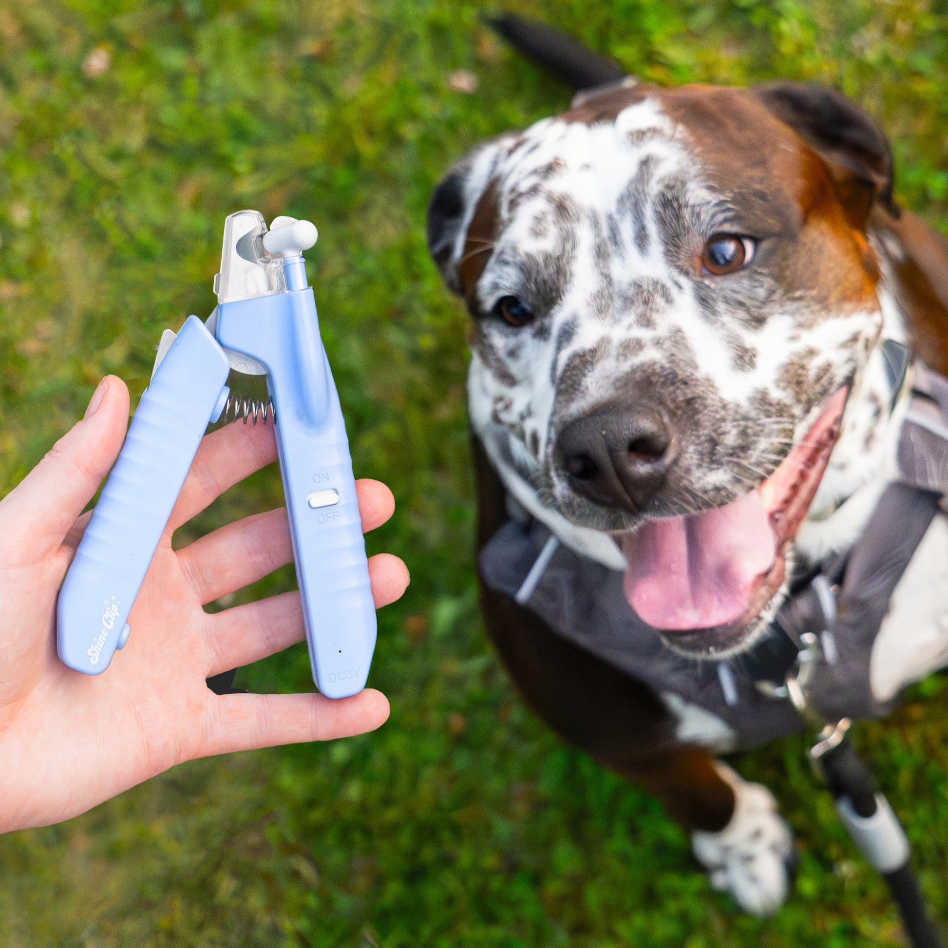 ShineClip™ Pet Nail Clipper - ShineClip