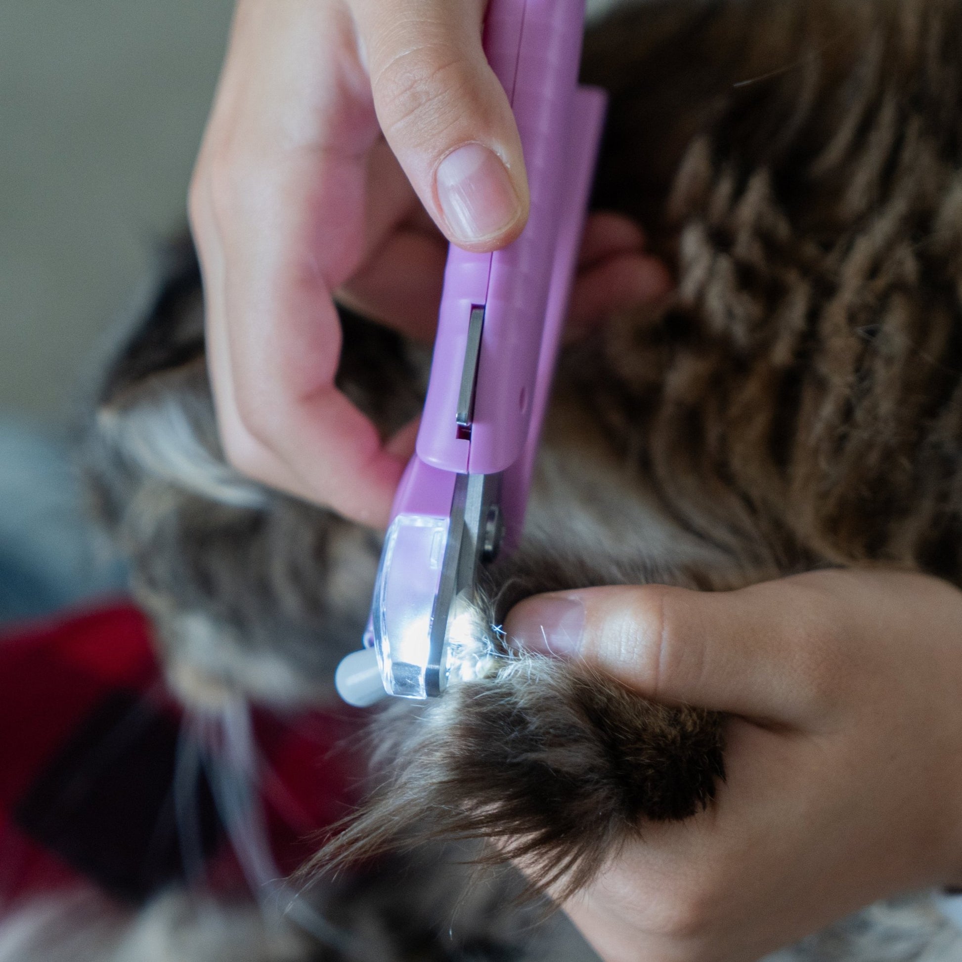 ShineClip™ Pet Nail Clipper - ShineClip