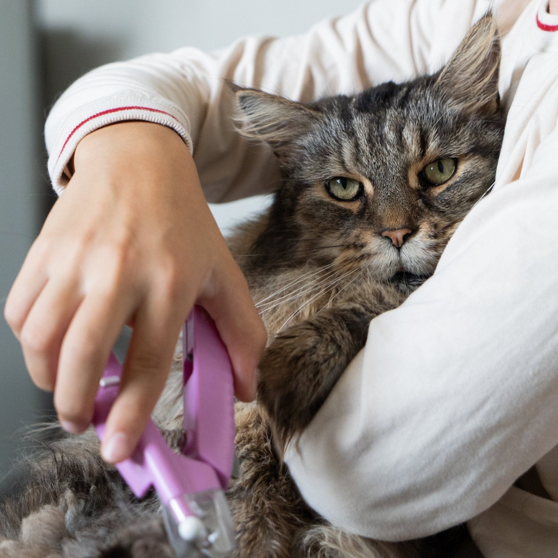 ShineClip™ Pet Nail Clipper - ShineClip